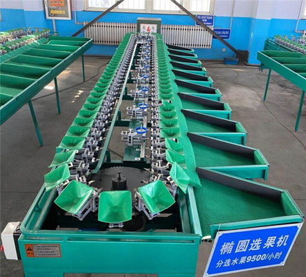 China cucumber grading machine, mango sorting machine, apple orange grading machine supplier