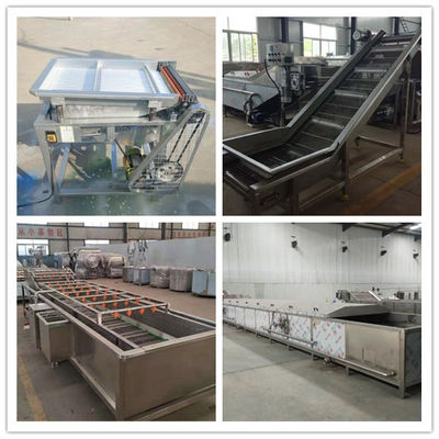 China frozen peas processing machine, quick-freezing peas making machines supplier